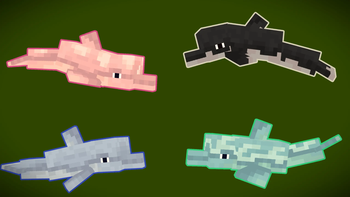 Dolphins