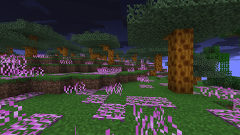 Shimmer Forest
