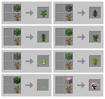 Saplings Recipe