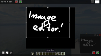 Image Editor: Crop tool