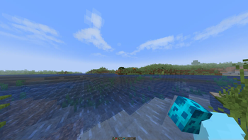 Spawn Egg