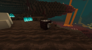 Closed Box