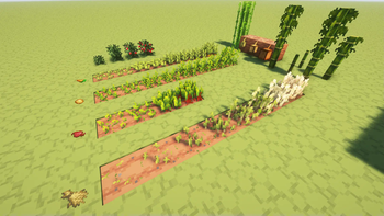 Crops