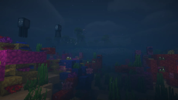 Ocean