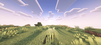 COMPLEMENTARY REMINAGINED SHADERS