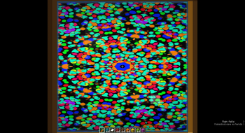 A Kaleidoscope with an Overlay Texture