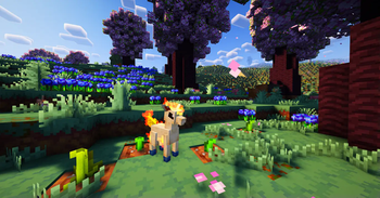 Ponyta