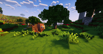 Tauros