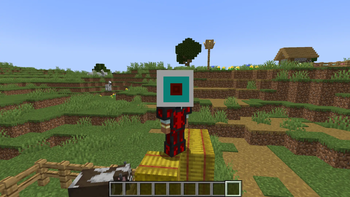 Eye armor