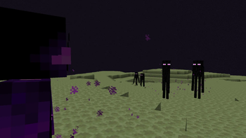 The Strongest Enderman