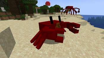 Cute crab