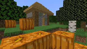 Lonely house
