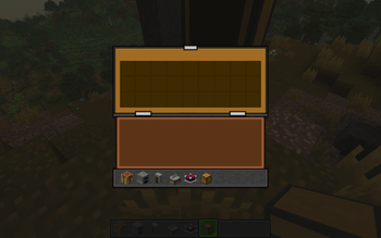 Chest