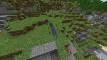 Sugar Cane Farm