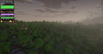 Rainy forest flyover
