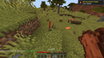 Legacy Console Features+