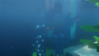 Immersive Experience