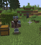 Displays no nameplate being rendered due to the crosshair not being near them.