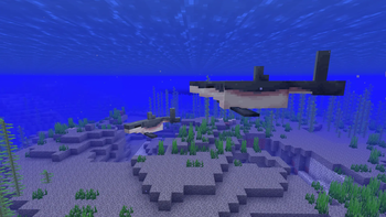Sharks