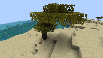 Mango Tree