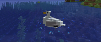 Screenshot of a seagull floating in water