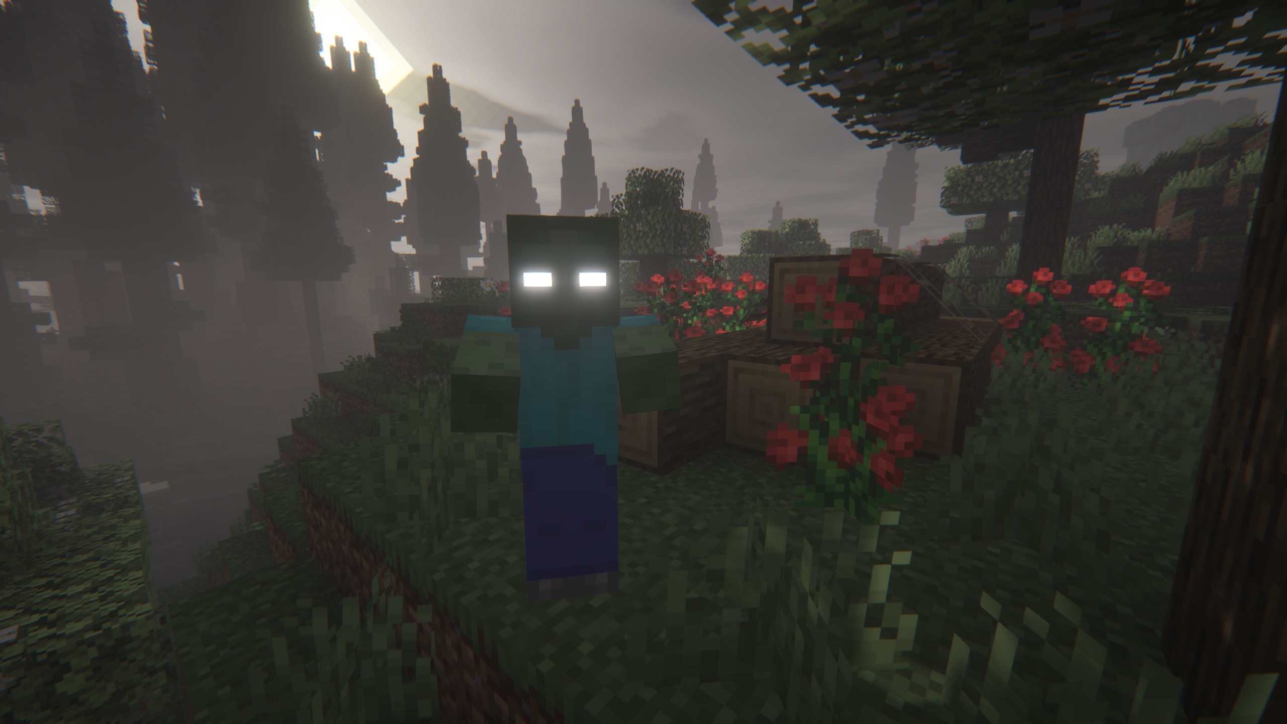 Screenshots 1