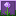 Better Allium
