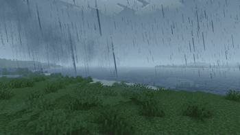 Rain