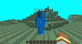 Bob