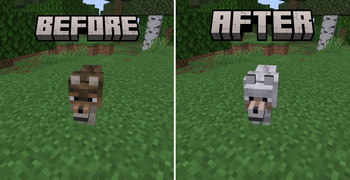 Before & After