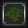 Bushy's Wild Expanded