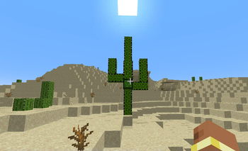 Added a new Cactus