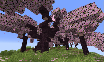 Large Cherry Tree