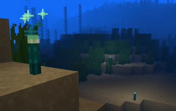 Glow Torches underwater