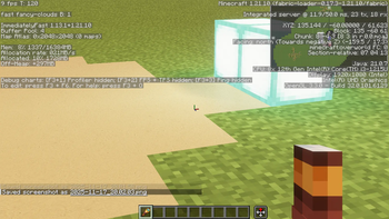 with BSL shaders