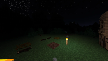 Base at night