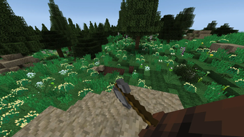 First person view