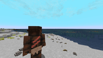 Third person view