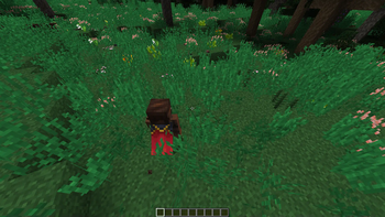 Third person view