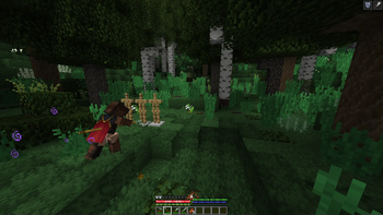 Attack animations
