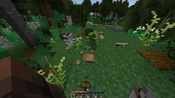Animals