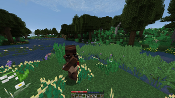 Player animations