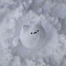 zira_snow