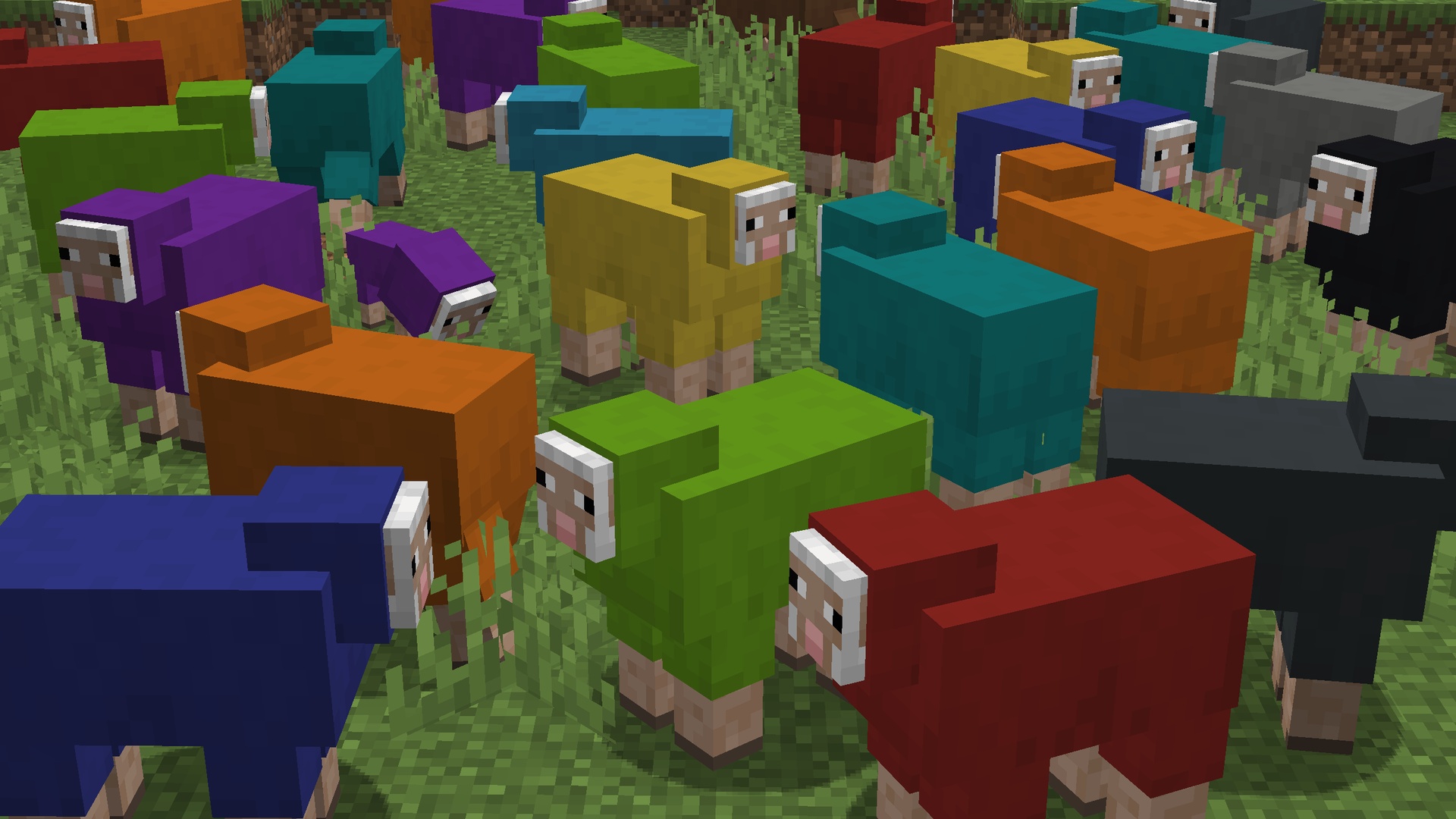 Flock of Sheep