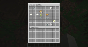 Iron Villager Coin in a Jungle Coffin