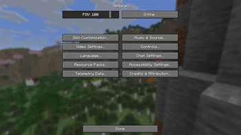 Options Screen