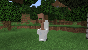 Villager toilet