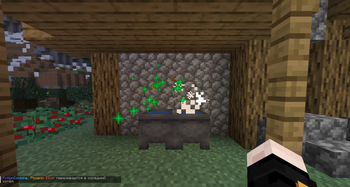 Cauldrons that brew for each other