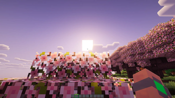 Cherry biome 2