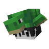 Lively Turtle Helmet